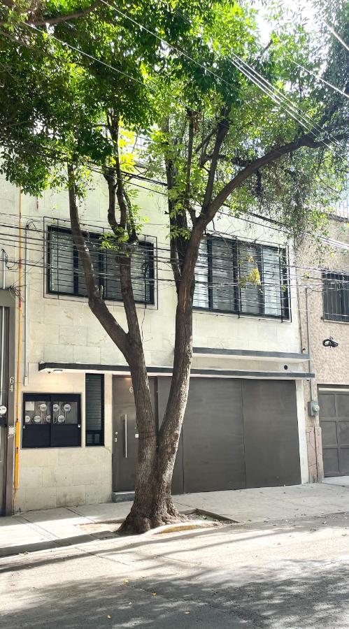 Condesa Lives Apartment Mexico City Ngoại thất bức ảnh